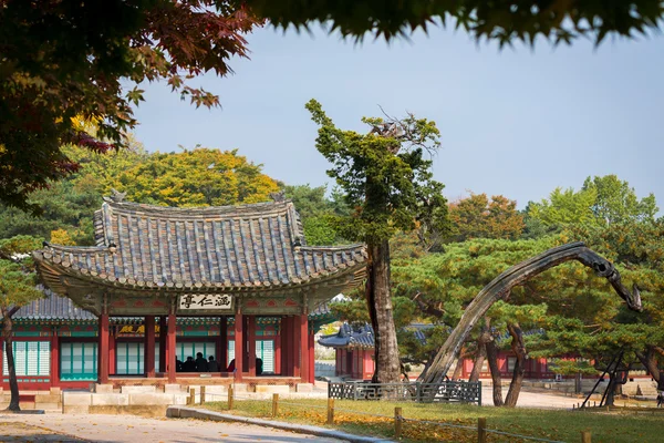 changgyeonggung Sarayı, seoul