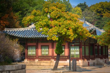 changgyeonggung Sarayı, seoul