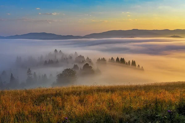 Όμορφο τοπίο με κοιλάδες, ήλιο και ομίχλη στα βουνά Pieniny — Φωτογραφία Αρχείου