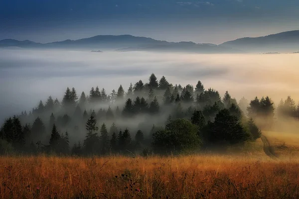 Schöne Landschaft mit Tälern, Sonne und Nebel im Pieniny-Gebirge — Stockfoto