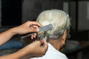 Evde yaşlı annesinin saçını kesen bir kadının eli.