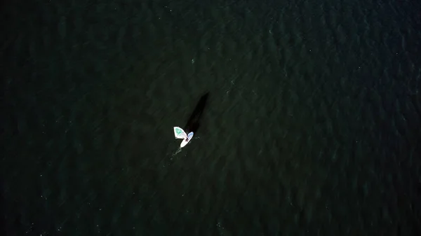 Surfer Sur Une Rivière Urbaine Drone Photo Aérienne — Photo