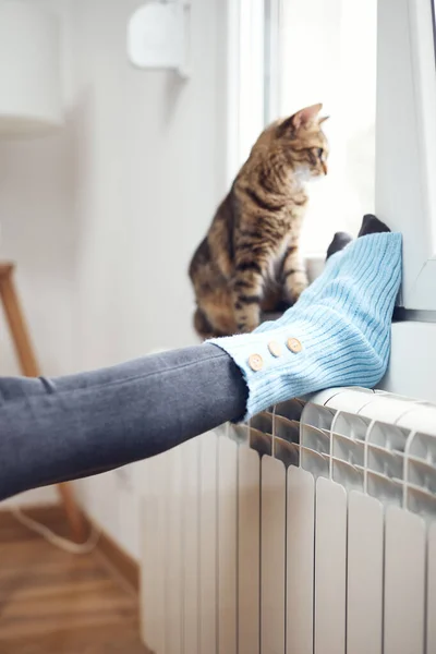 Vrouw Voeten Met Wollen Sokken Huiselijke Kat Genieten Binnen Radiator — Stockfoto