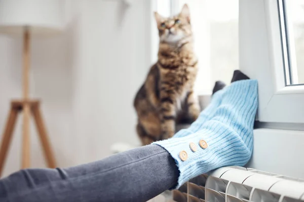 Ženské Nohy Vlněnými Ponožkami Domácí Kočka Užívající Doma Radiátoru — Stock fotografie
