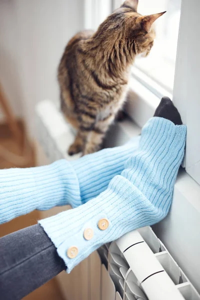 Ženské Nohy Vlněnými Ponožkami Domácí Kočka Užívající Doma Radiátoru — Stock fotografie