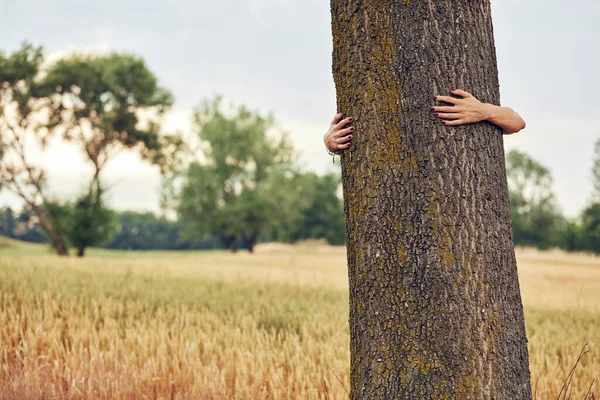 Woman embracing and hugging tree in nature.