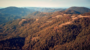 Sonbahar renklerinde kırsal tepe manzarasının hava aracı görüntüsü.
