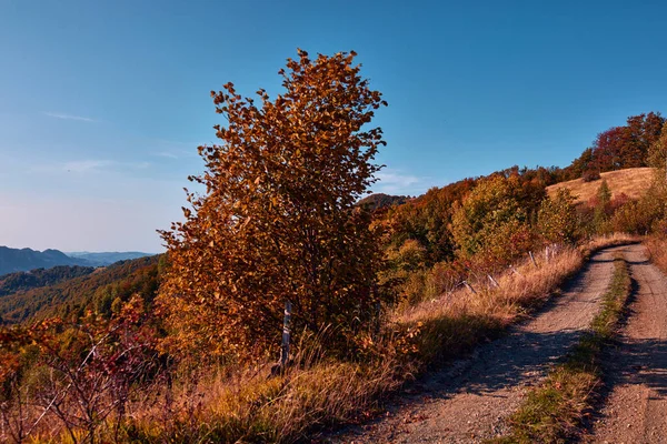 Pohled Krajinu Kopcovité Krajiny Podzimních Barvách — Stock fotografie