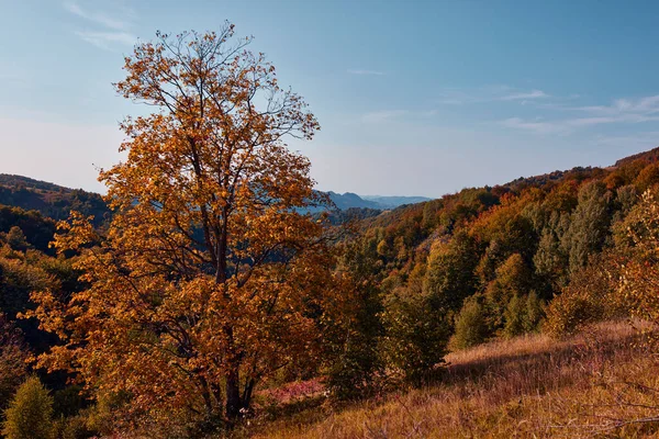 Pohled Krajinu Kopcovité Krajiny Podzimních Barvách — Stock fotografie