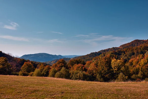 Pohled Krajinu Kopcovité Krajiny Podzimních Barvách — Stock fotografie