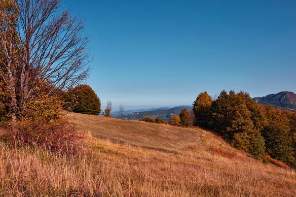 Pohled Krajinu Kopcovité Krajiny Podzimních Barvách — Stock fotografie