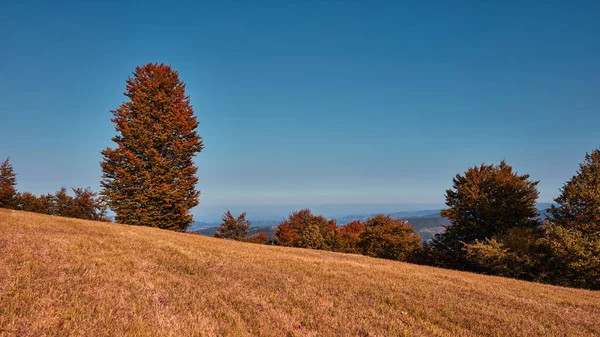 Vista Del Paisaje Montañoso Del Campo Colores Otoñales — Foto de Stock