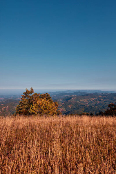 Вид на сельский холмистый ландшафт в осенних цветах.