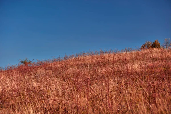 Vista Campo Paisagem Montanhosa Cores Outono — Fotografia de Stock