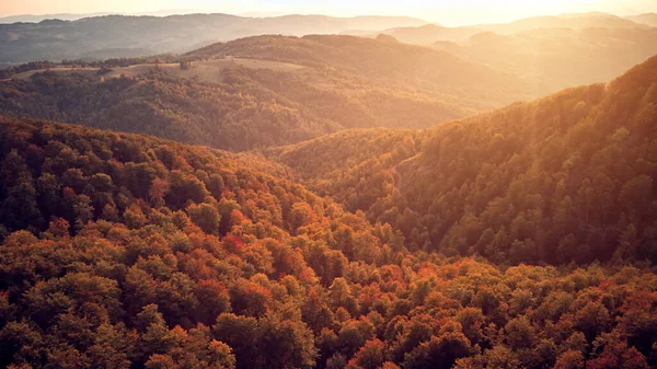 Letecký Bezpilotní Pohled Krajinu Kopcovité Krajiny Podzimních Barvách — Stock fotografie