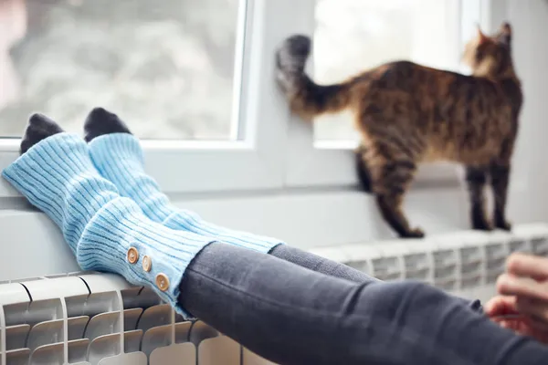 Vrouw Voeten Met Wollen Sokken Huiselijke Kat Genieten Binnen Radiator — Stockfoto