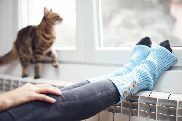 Vrouw Voeten Met Wollen Sokken Huiselijke Kat Genieten Binnen Radiator — Stockfoto