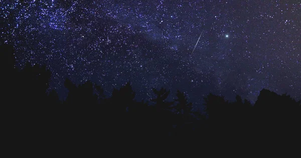 Tree Silhouettes Starry Twinkling Sky Falling Stars — Foto Stock