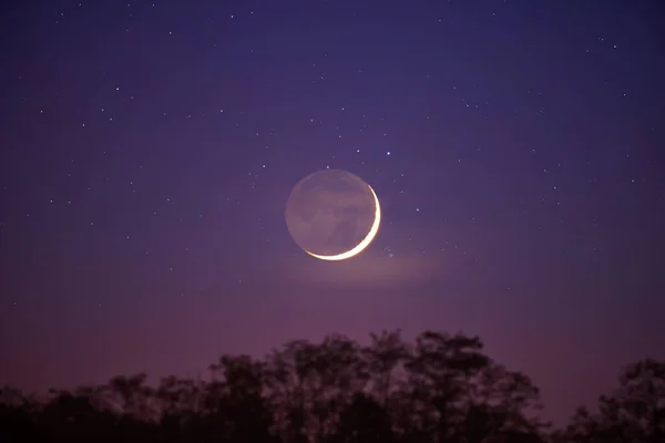 Силуэты Деревьев Звёзды Планеты Луна Вечернем Небе — стоковое фото