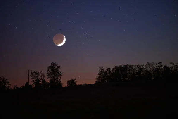 夜晚天空中的树木轮廓 行星和月亮 — 图库照片