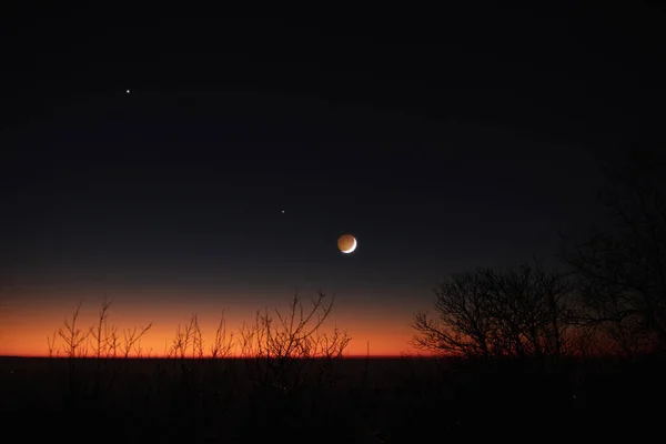 Boom Silhouetten Sterren Maan Aan Een Levendige Hemel — Stockfoto