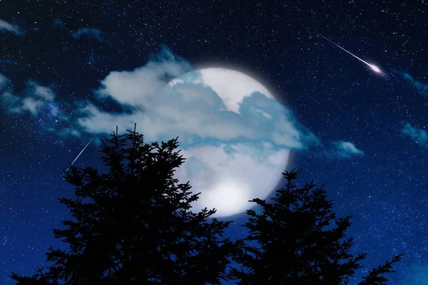 Silhouettes Arbres Étoiles Lune Sur Ciel Éclatant — Photo