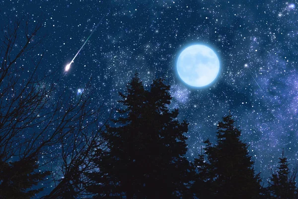 Siluetas Árboles Estrellas Luna Cielo Vivo — Foto de Stock