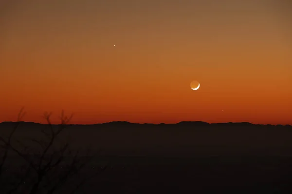 鮮やかな空に木のシルエット 星と月 — ストック写真