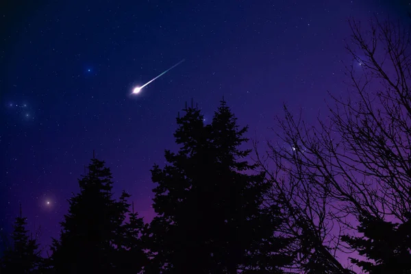 Sziluettek Tejút Hullócsillagok Élénk Éjszakai Égbolton — Stock Fotó