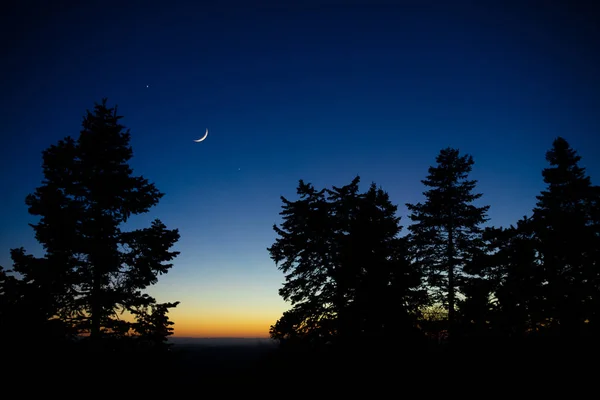 Mondsichel Mit Sternen Planeten Und Baumsilhouetten Abendhimmel — Stockfoto