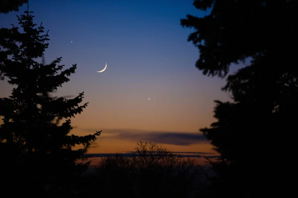 Mondsichel Mit Sternen Planeten Und Baumsilhouetten Abendhimmel — Stockfoto