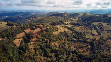 Sonbahar renklerinde kırsal tepe manzarası.
