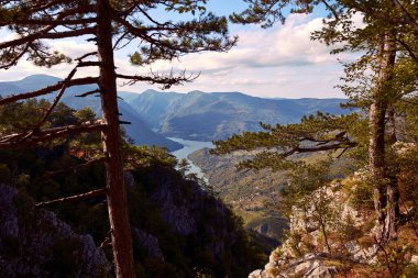 River Drina ve ulusal park Tara dağı manzarası.