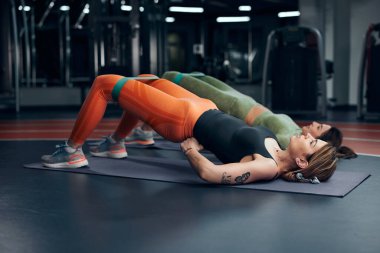 Spor salonunda çalışan güzel kadınlar. Güzel vücutlu yetişkin kadınlar..