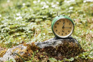 Doğa ve çevre koruma zamanı.