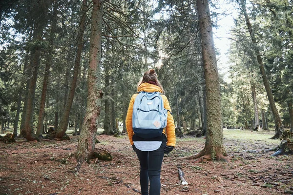 Giovane Donna Che Cammina Nella Foresta — Foto Stock