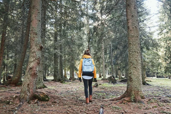 Молода Жінка Ходить Лісі — стокове фото
