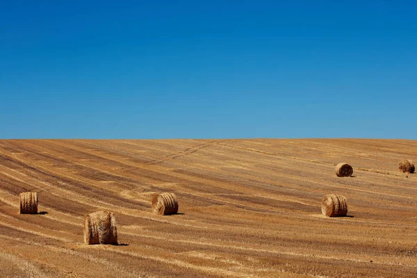Hay Bales Countryside Agricultural Field — Stock Photo, Image
