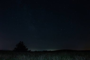 Kır manzaralı Samanyolu yıldızları.