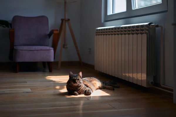 Calefacción Luz Del Sol Radiadores Fríos Sin Calefacción Durante Los —  Fotos de Stock