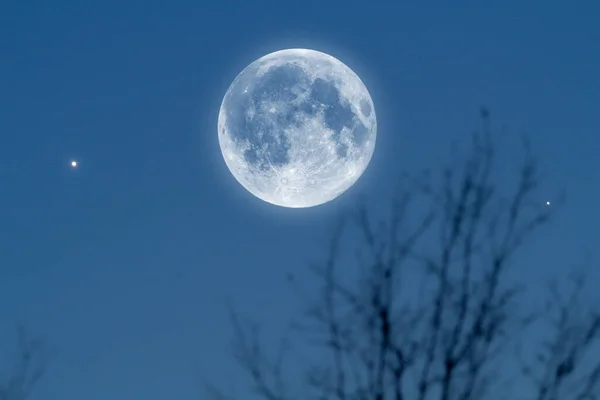 Tree silhouettes, stars and Moon on a vivid sky.