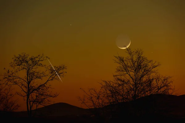有星星 行星和夜晚天空中树木轮廓的新月 — 图库照片