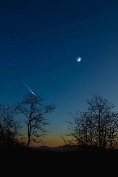 Crescent Moon Hvězdami Planetami Siluetami Stromů Večerní Obloze — Stock fotografie