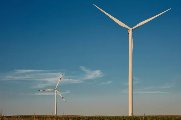 用于生产绿色电力的风车农场公园和涡轮机 — 图库照片