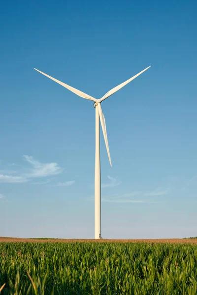 用于生产绿色电力的风车农场公园和涡轮机 — 图库照片