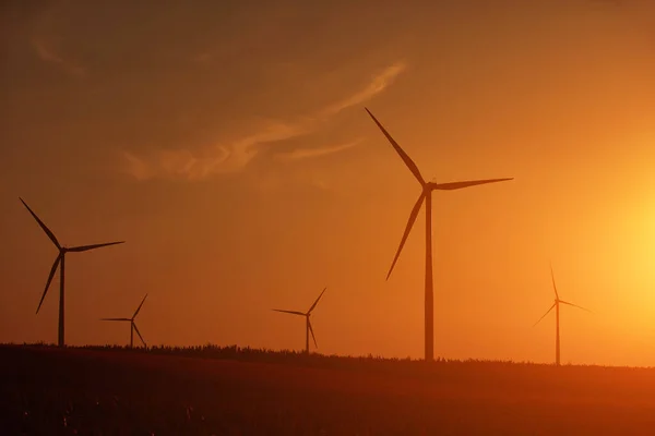 Parc Éolien Turbines Pour Production Électricité Verte — Photo