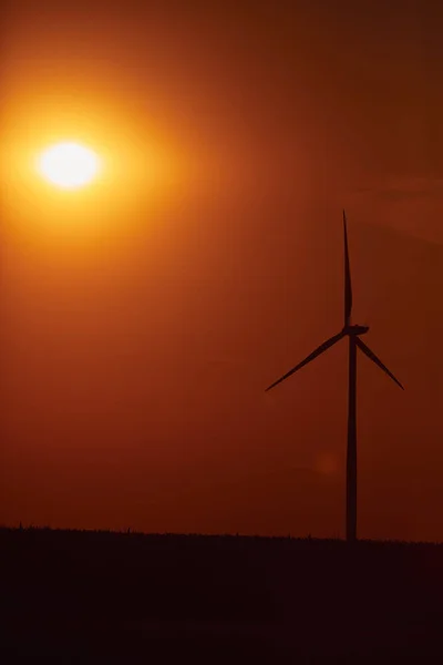 Parc Éolien Turbines Pour Production Électricité Verte — Photo