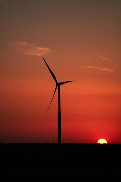 Parc Ferme Éolienne Silhouettes Avec Ciel Coloré — Photo