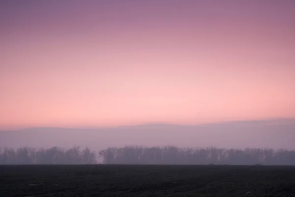 Рожевий вечірнє небо — стокове фото
