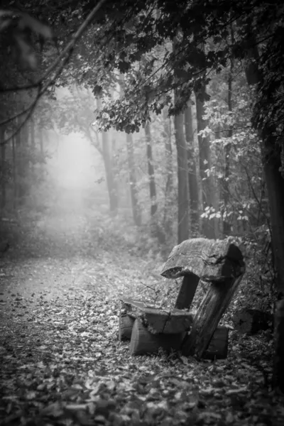 Bench in a forest — Stock Photo, Image